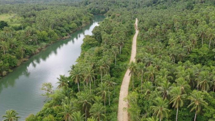 20220126-PAGEONE-7-roads-in-Eastern-Samar.jpg