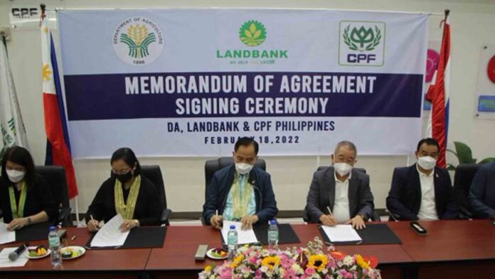 20220220-PAGEONE-DAR-Agreement.jpg