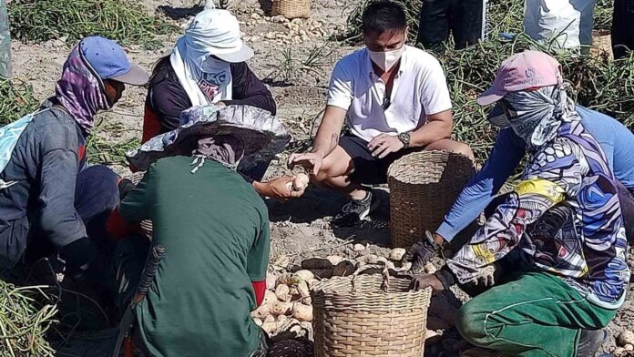 20220221-PAGEONE-Marvin-Agustin-DOST-PCAARRD-s-agri-aqua-ambassador-chats-with-sweetpotato-farmers-from-Moncada-Tarlac.jpg