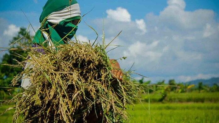 20220303-PAGEONE-Farmer.jpg