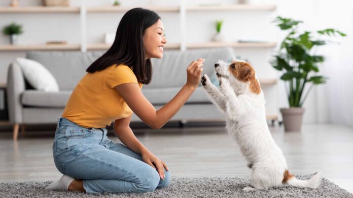 20220306-PAGEONE-dog-treats.jpg