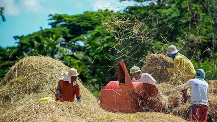 20220116-PAGEONE-Farmers.jpg