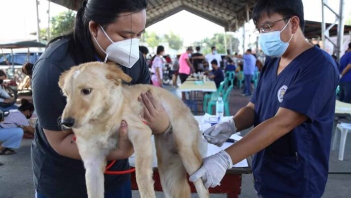 20220303-PAGEONE-pets-for-anti-rabies-vax.jpg