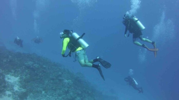 20220913-PAGEONE-Dive-Tourism.jpg