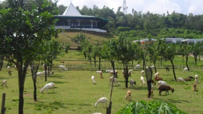 20230703-PAGEONE-Garin-Farm
